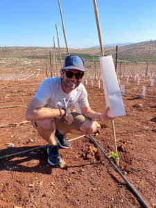 Brian Freedman looking at vineyard soil